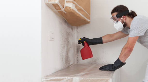 Professional Mold Remediation technician working in Clinton, MI