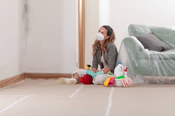 Reliable Mold Remediation contractor in Clinton, MI by Mold Remediation HQ